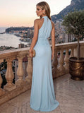 Sheath/Column Evening Dresses Chiffon Halter Sleeveless Floor-Length Ruched  Summer  Wedding Guest Dresses