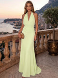 Sheath/Column Evening Dresses Chiffon Halter Sleeveless Floor-Length Ruched  Summer  Wedding Guest Dresses