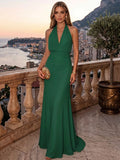 Sheath/Column Evening Dresses Chiffon Halter Sleeveless Floor-Length Ruched  Summer  Wedding Guest Dresses