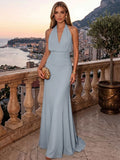 Sheath/Column Evening Dresses Chiffon Halter Sleeveless Floor-Length Ruched  Summer  Wedding Guest Dresses
