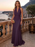 Sheath/Column Evening Dresses Chiffon Halter Sleeveless Floor-Length Ruched  Summer  Wedding Guest Dresses