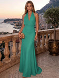 Sheath/Column Evening Dresses Chiffon Halter Sleeveless Floor-Length Ruched  Summer  Wedding Guest Dresses