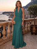Sheath/Column Evening Dresses Chiffon Halter Sleeveless Floor-Length Ruched  Summer  Wedding Guest Dresses