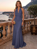 Sheath/Column Evening Dresses Chiffon Halter Sleeveless Floor-Length Ruched  Summer  Wedding Guest Dresses