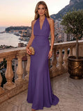 Sheath/Column Evening Dresses Chiffon Halter Sleeveless Floor-Length Ruched  Summer  Wedding Guest Dresses