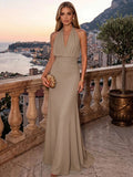 Sheath/Column Evening Dresses Chiffon Halter Sleeveless Floor-Length Ruched  Summer  Wedding Guest Dresses