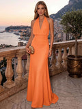 Sheath/Column Evening Dresses Chiffon Halter Sleeveless Floor-Length Ruched  Summer  Wedding Guest Dresses