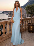 Sheath/Column Evening Dresses Chiffon Halter Sleeveless Floor-Length Ruched  Summer  Wedding Guest Dresses